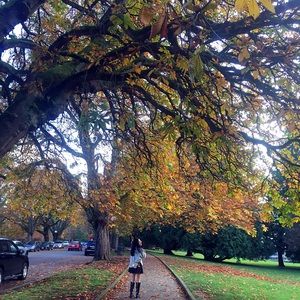 Meet your Posher, Xiaoqi